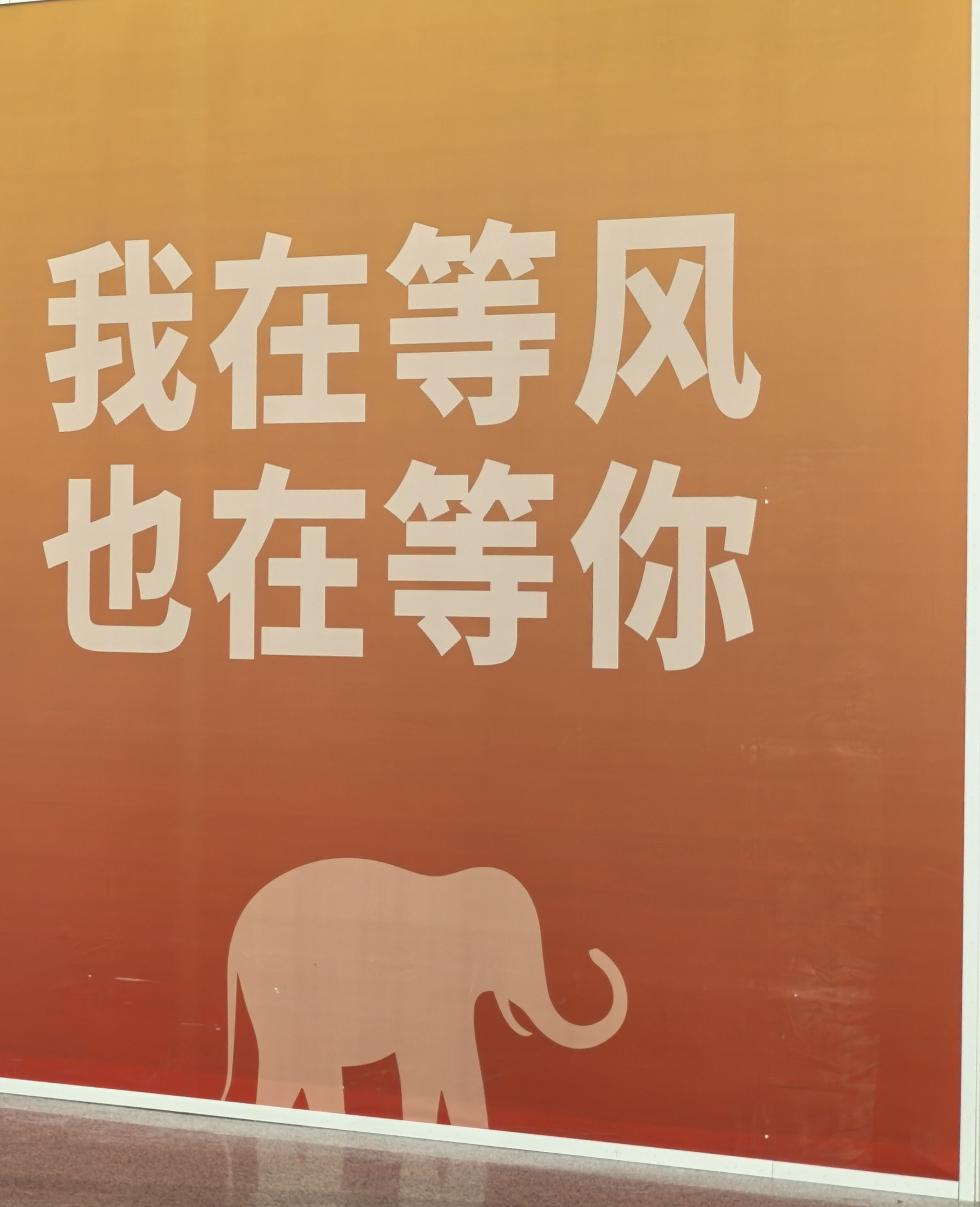 还是云南好啊​​​