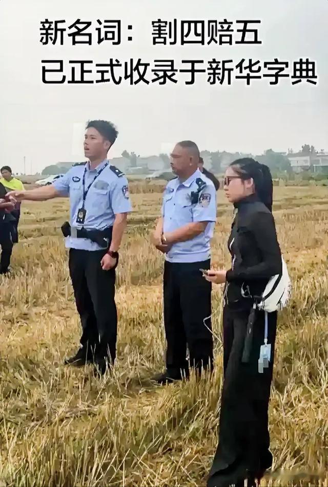 湖北收割机这事，仔细研究了一下，双方都不容易。1、麦子倒伏收割难度大，还会毁
