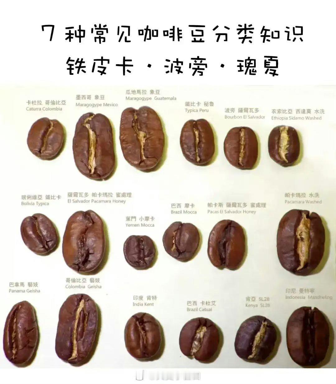 咖啡豆​​​