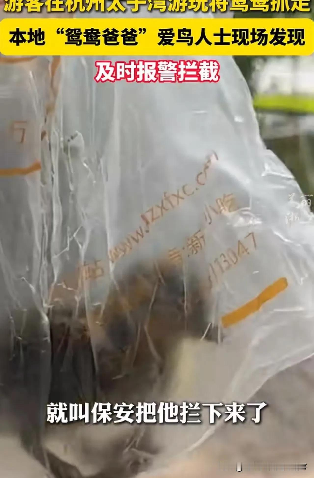 事件全貌（5月4日杭州太子湾）五一期间，一名女游客徒手抓住刚出生不久的小