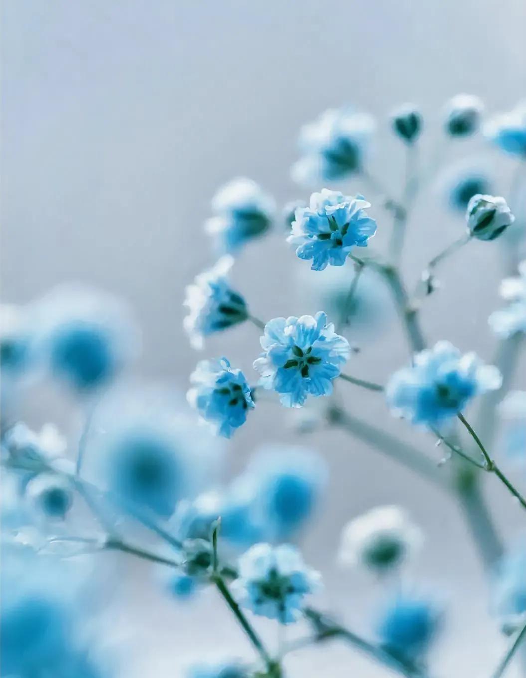 有没有人觉得，没有父母的托举，就结不了婚？我身边就有一对小夫妻，没要彩