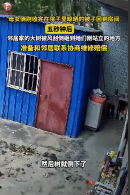 “这真是飞来横祸！”安徽临泉，一母女俩刚收完在院子里晾晒的被子回到屋内，5秒后，