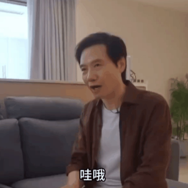 你们不要以为雷军看起来老实巴交的好像很好欺负的样子。这种本身就是名校毕业的人尖子