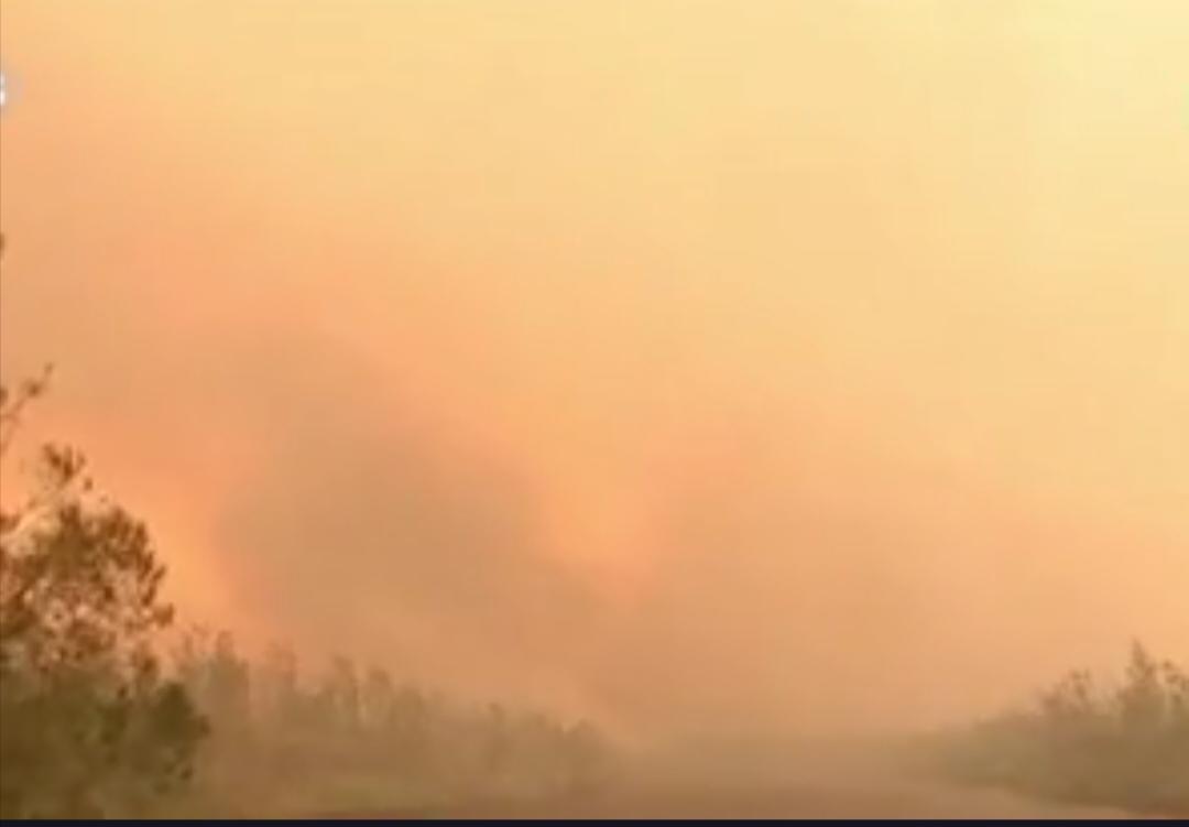 全球气候警报再响：2026年厄尔尼诺将如何重塑我们的天气？据世界气象组织4月2