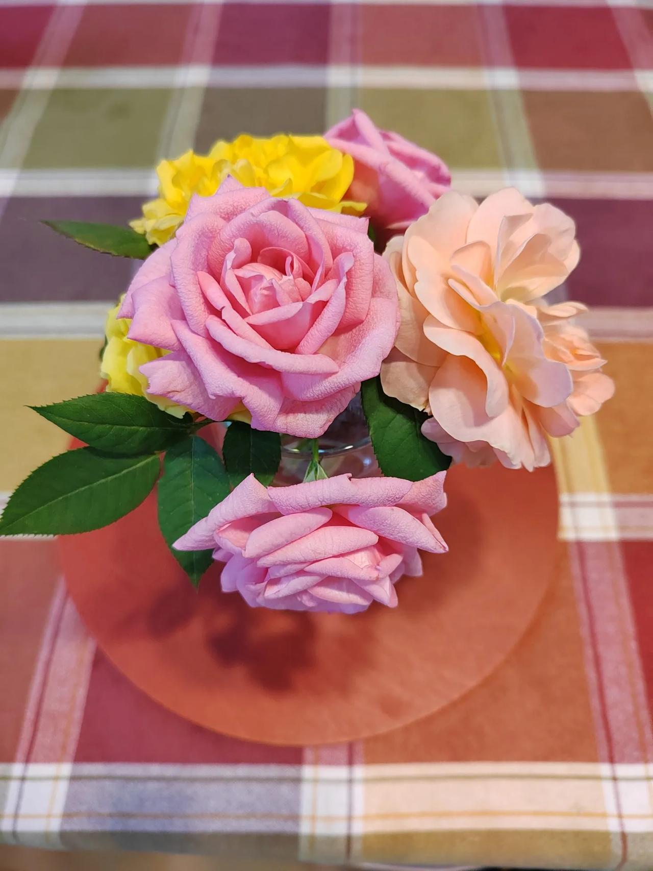我种了点儿月季花三种颜色插个小花瓶挺不错喜欢花就种了些好养的只需要浇浇水施