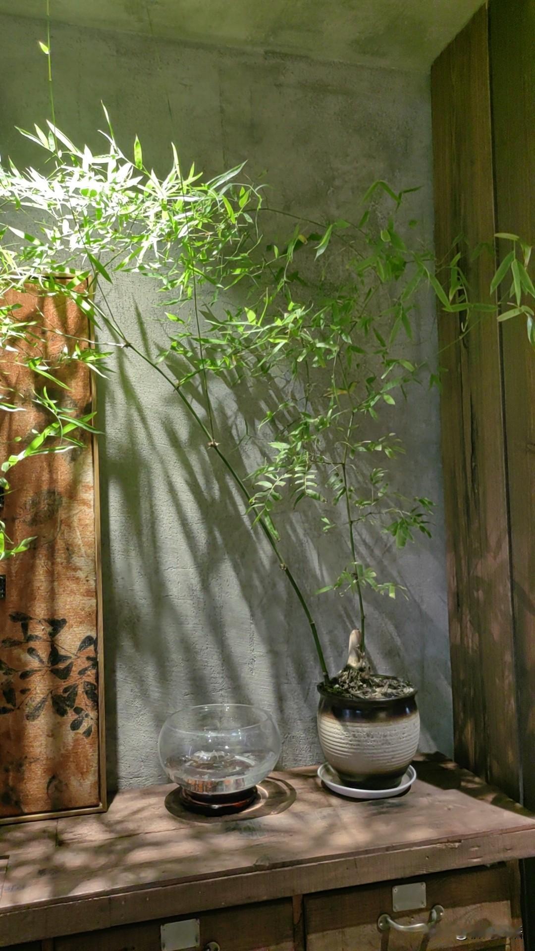 在火车站候车，听到两个男人的对话，感到很恐惧。我这一年火车坐了无数次，经常是