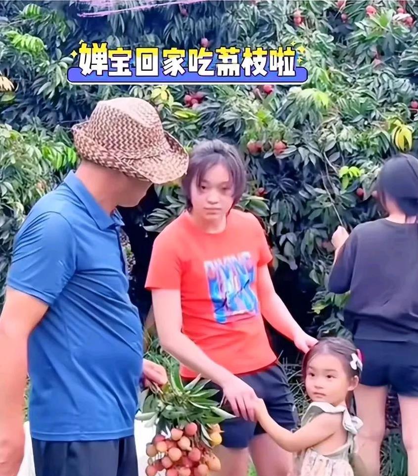 最近，全红婵回家摘荔枝这个新闻火了！原来之前全红婵受伤了，所以最近养伤，不然估