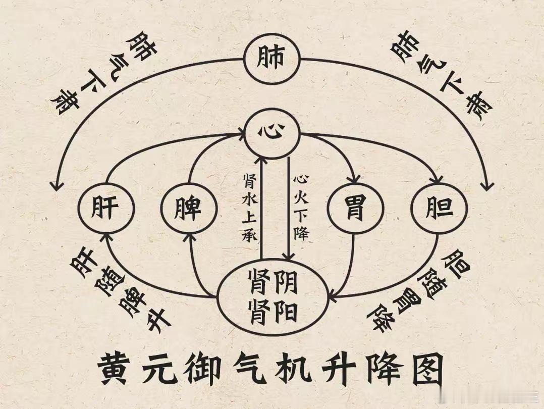 广成中医清·黄元御：“左升右降，中气斡旋，一气周流此图根据清代医家黄元御《素灵