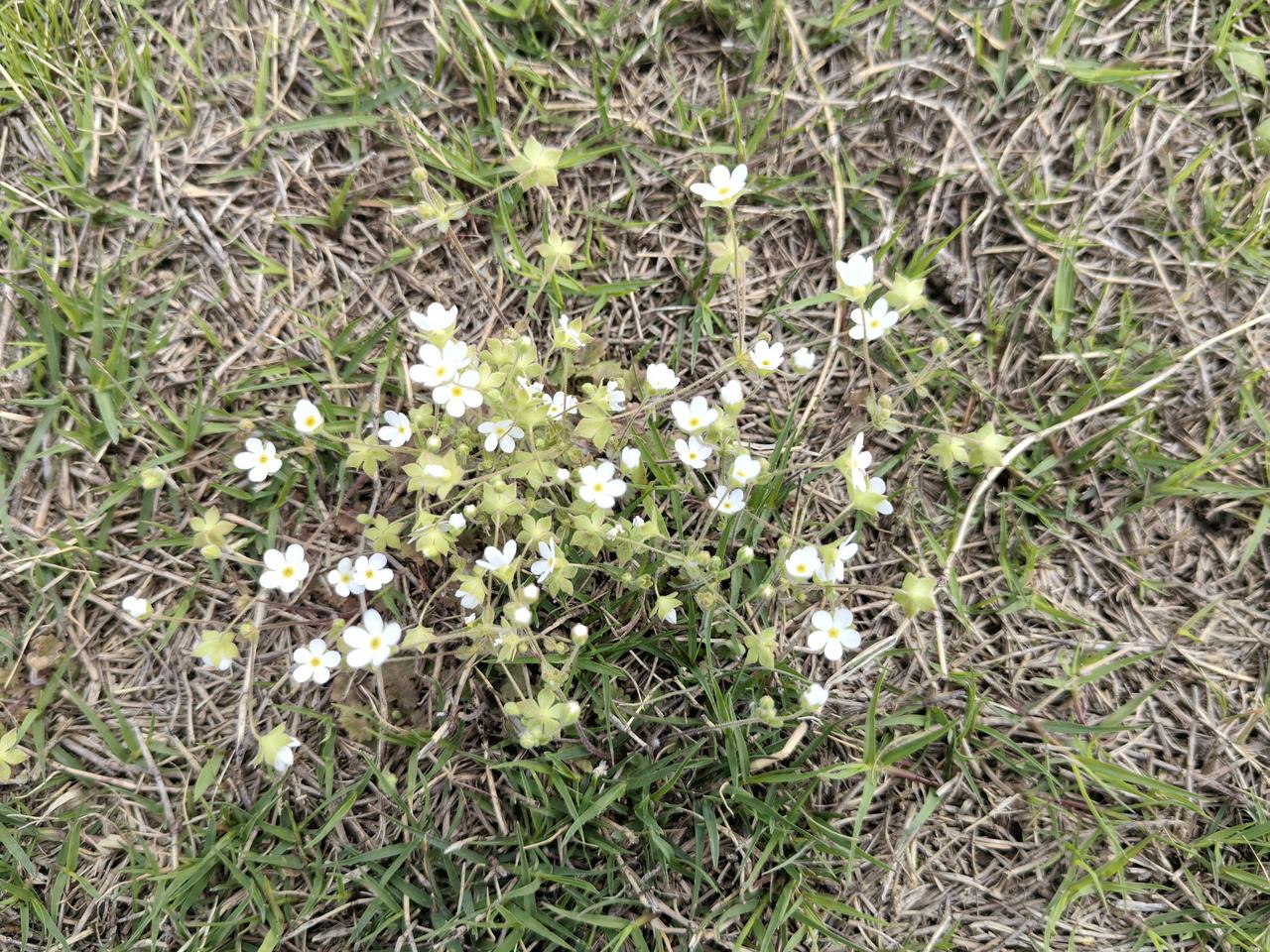 56岁女子5年透析，花去200万，耗尽家财，还欠大笔借债。她是不是太自私？王