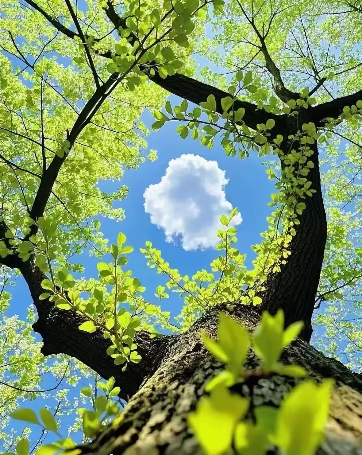 提到中国顶尖的AI公司，这十家名字得好好说道说道——它们藏着咱们AI产业的底气，