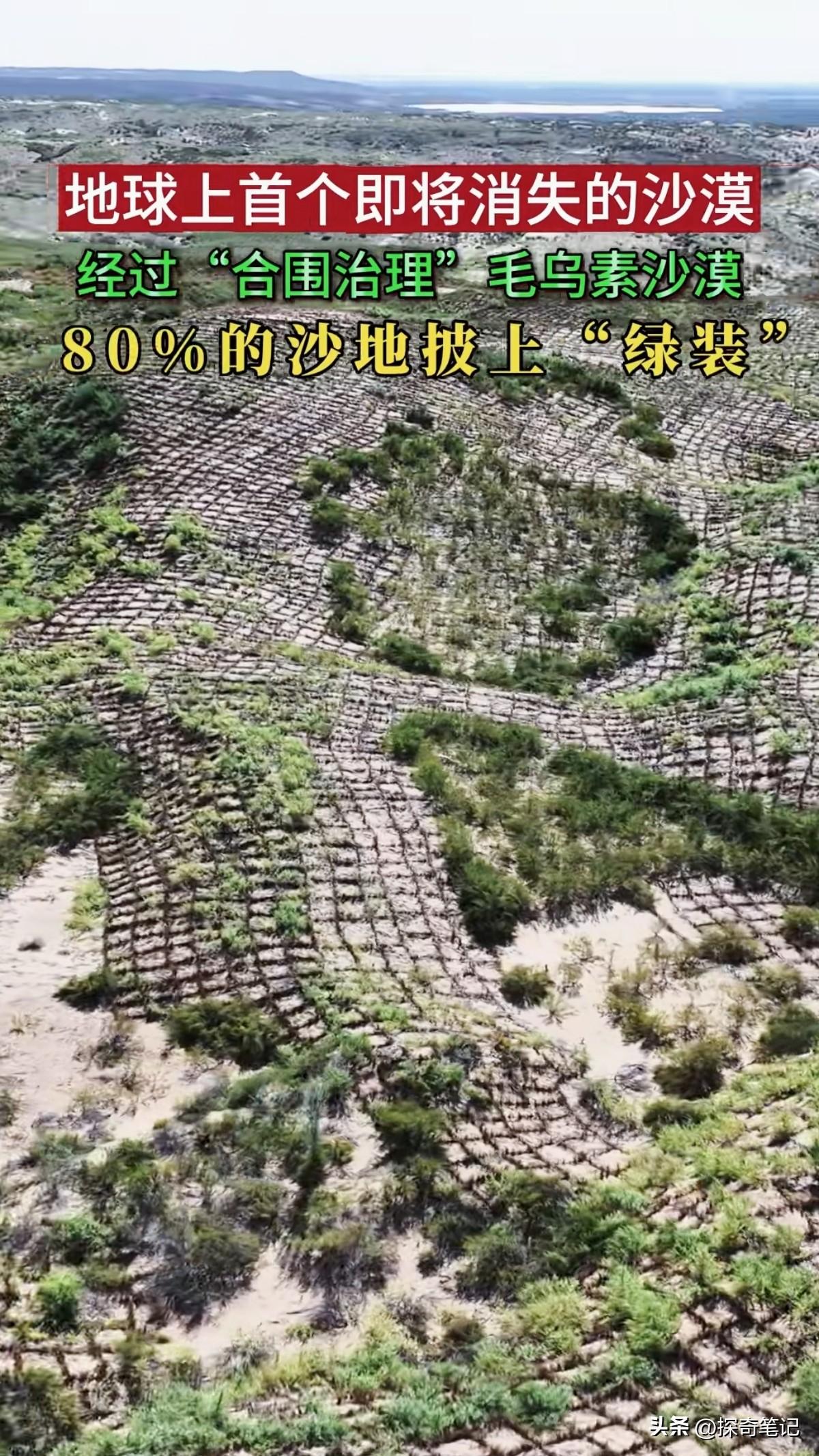 总有一些外国媒体见不得我们好，他们看到我们治理沙漠小有成果，就不怀好意地扣帽子说