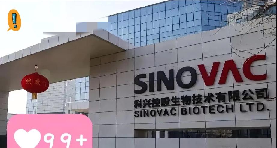 科兴退市了，因为科兴没有按时提交2024年财报。今年7月份，科兴宣布分红，分