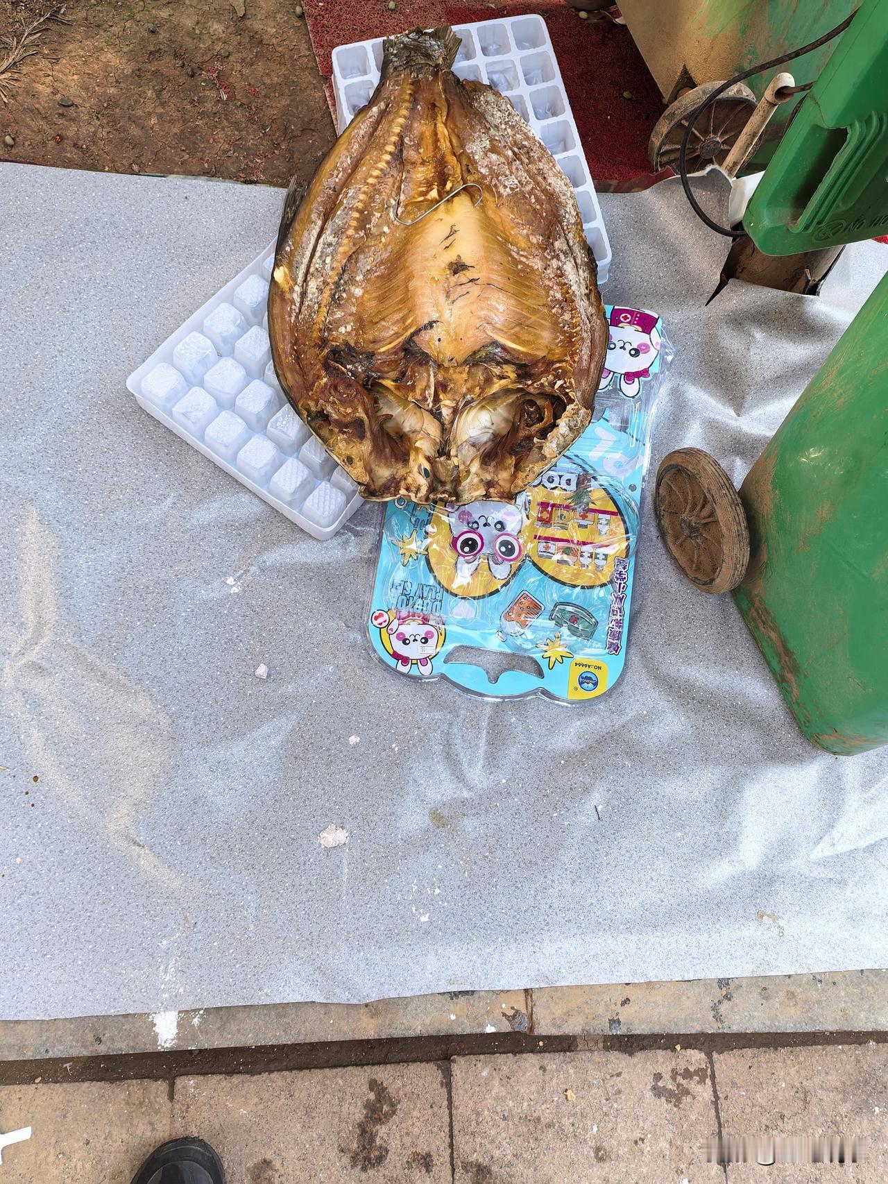 这谁家的腊鱼，怎么长霉了，那只能丢了。怎样才不让腊肉长霉了？腊鱼腊肉有的