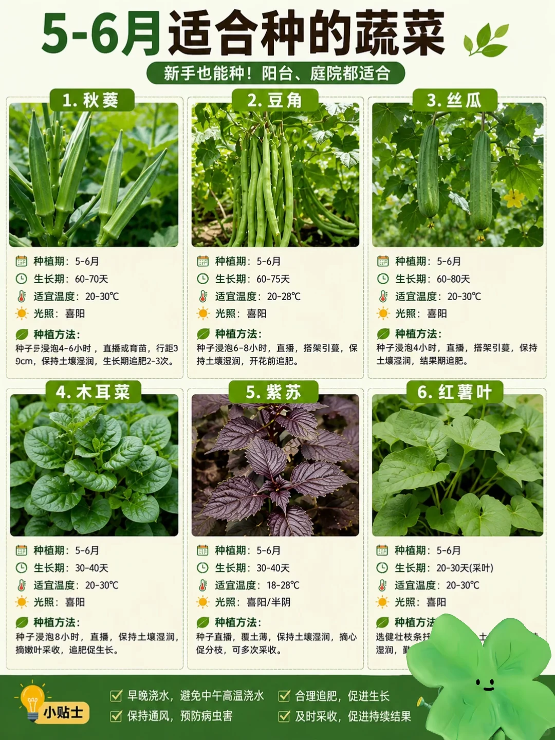 广州的菜友，5-6月适合种的蔬菜