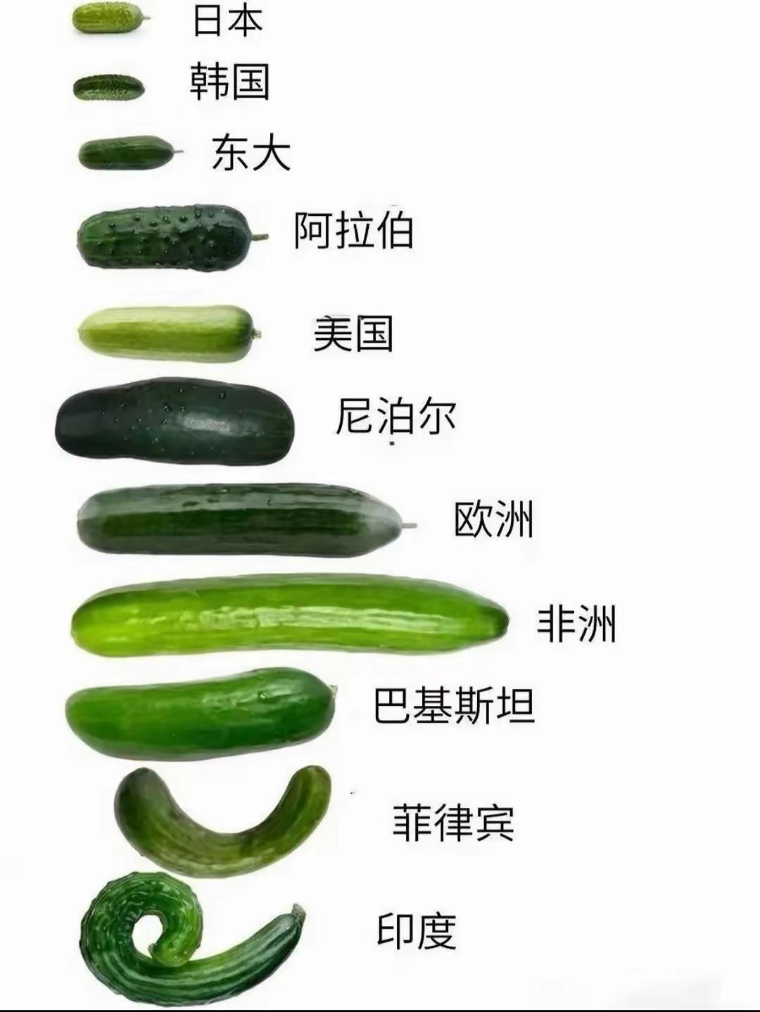 能看懂这张图的，都是过来人，懂得都懂！只是印度那弯曲变形的，着实让人惊讶😺