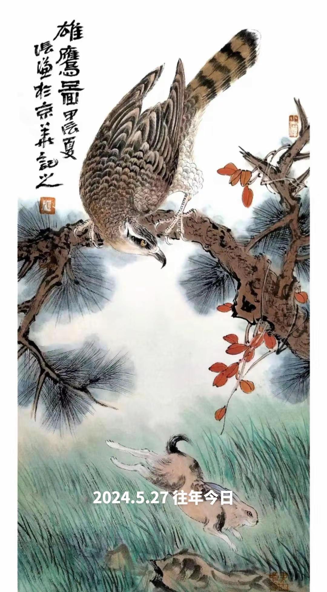 雄鹰图。花鸟画纯手绘雄鹰