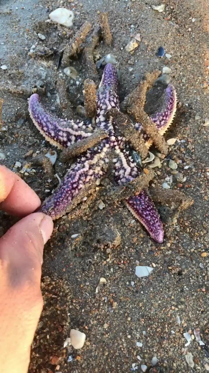 Wonder Girls Nobody高清MV(清晰)_640x360_