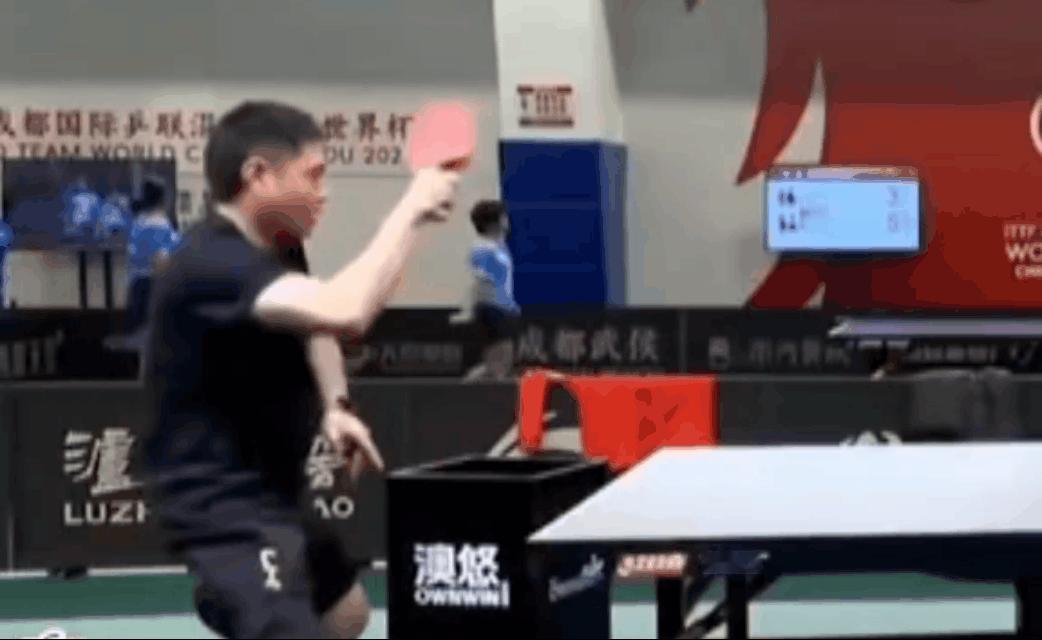 这似乎有点不一样吧，当莎莎把球打到邱指导的肚子上的时候，莎莎还在那咯咯笑，当