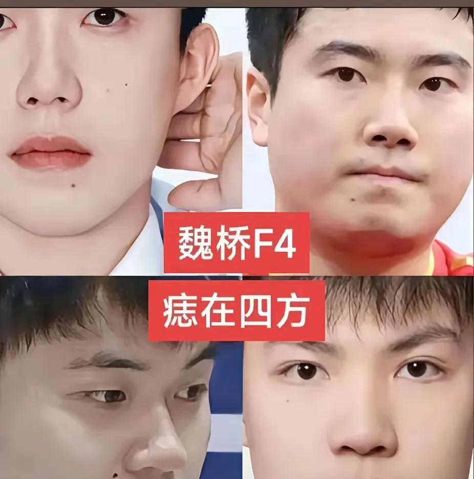 魏桥的四个帅哥，嘴边都有一颗痣，真的有点玄学！魏桥把左手都弄过来了，除了林高远