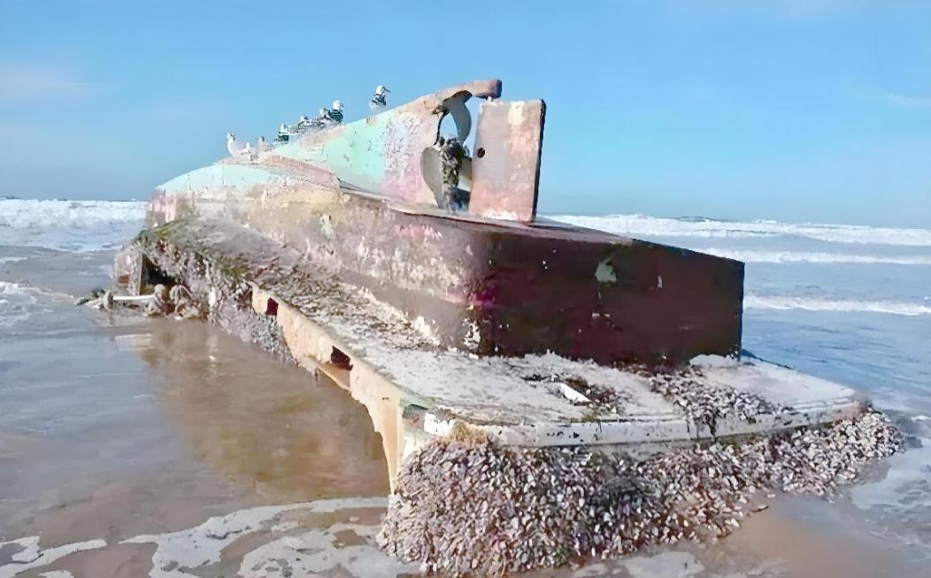 航母才是最大捕鱼船？一位从事了大半辈子海上捕捞作业的渔民表示：辽宁舰每次回港都会