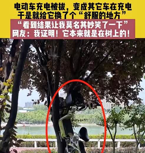 江苏徐州一男子给电动车扫码充电后，返回发现插头被拔，他人车辆正占用该充电口。男子