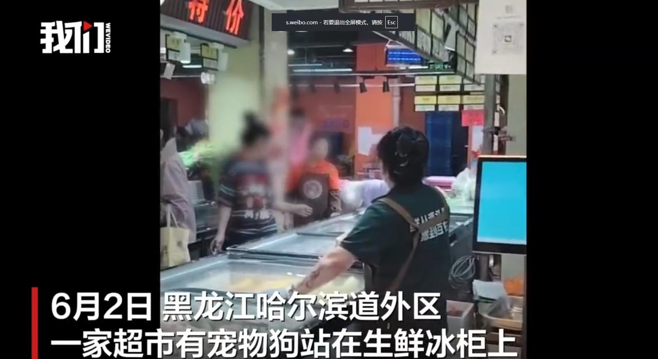 “必须严惩！”黑龙江哈尔滨，一名女子不牵绳将宠物狗抱上生鲜冰柜，任由小狗在冷冻肉
