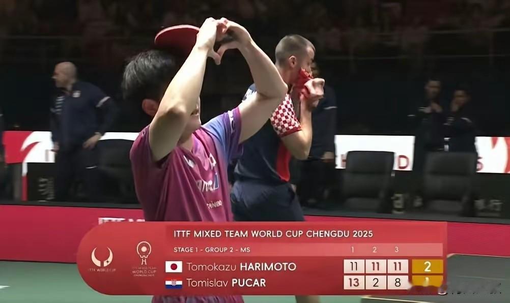 张本智和面对国乒，总是很嚣张，很兴奋，每次都嗷嗷叫，把大家对他的好感度都败光了！