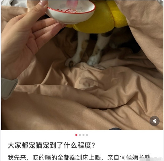 小说女主也不过如此小猫咪过的好幸福