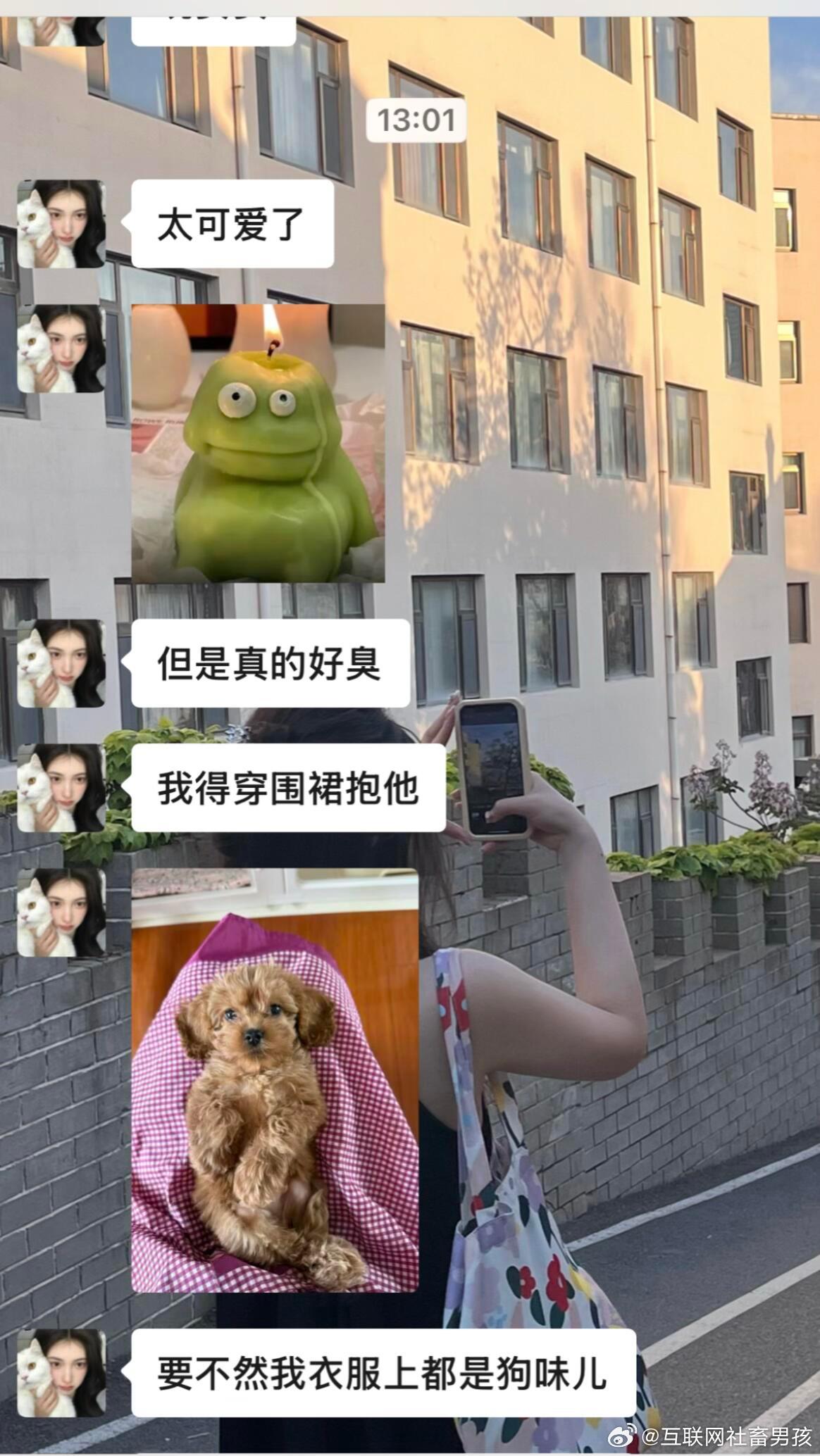 当我爱干净的朋友开始养狗