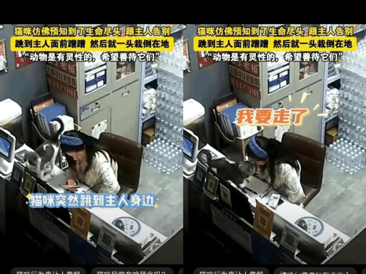 科学家来了都无法解释了！山东德州凌晨5点钟，一名女子莫名其妙的失眠了，于是起床