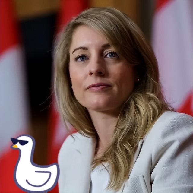 快讯快讯加拿大外长突然宣布1111月13日，加拿大外长阿南德宣布对俄罗斯实