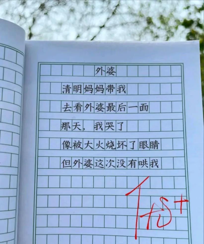 这段文字好触动人心，值得给优+。