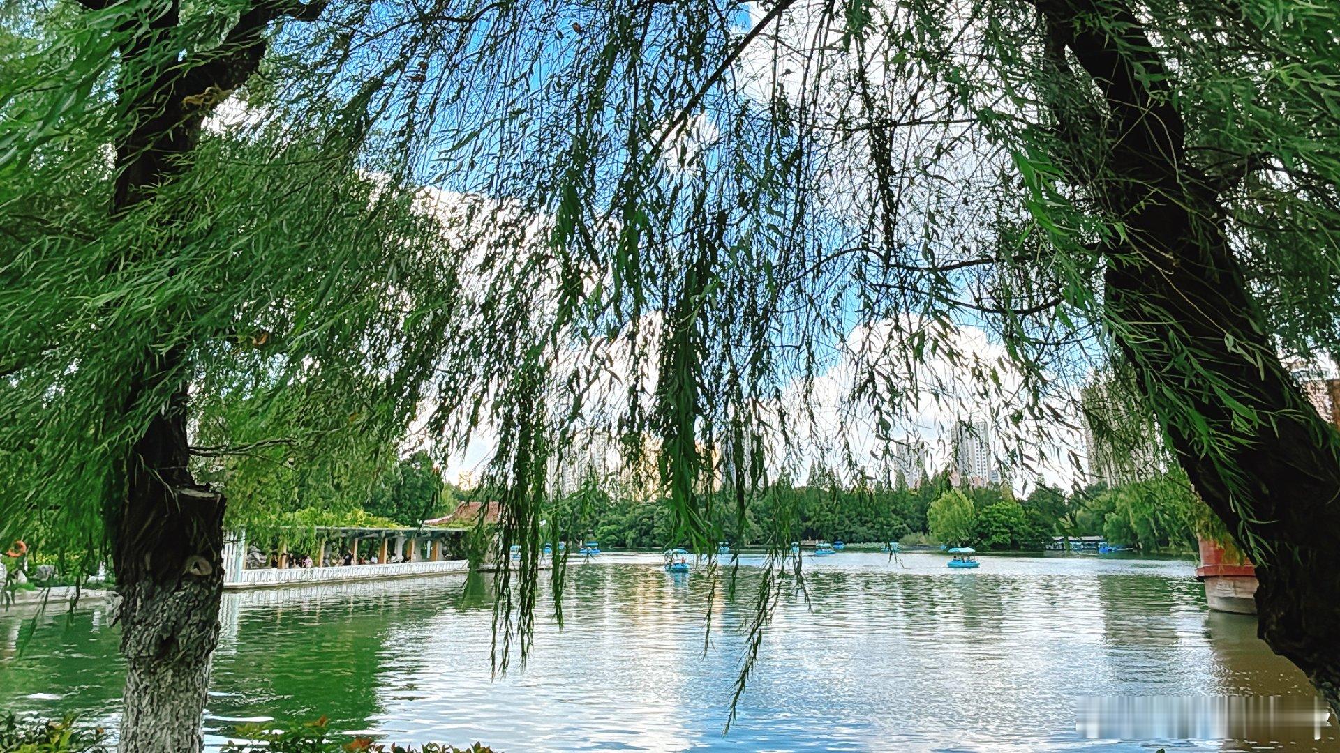 #晓思的旅游时间##带着老妈去旅行##合肥#除了三国遗韵、历史古迹的历史文化馆还有游乐园、热带雨林馆