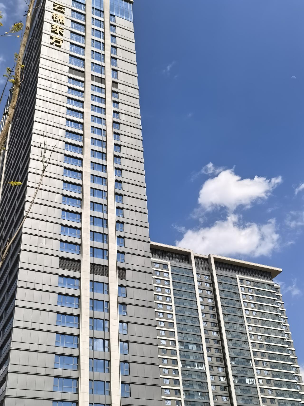 这家公司应该是雷声大雨点小的了吧！在昆明巫家坝中心区域四年前前后共拿了十一块地，