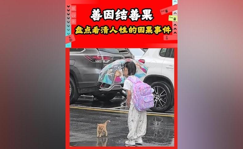 你为别人撑起的伞，总有天也能让自己遮风挡雨#正能量 #感人 #君子不救 #泪目