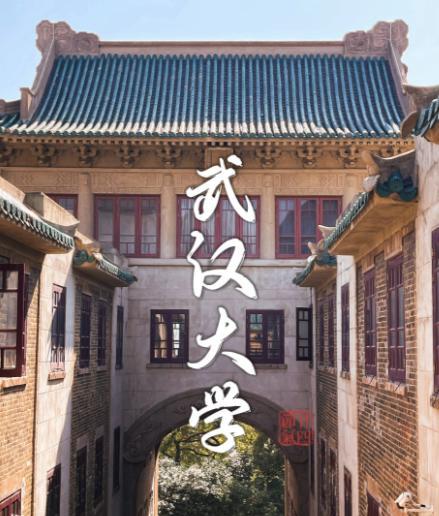 武大这事不简单反转没停过杨同学败诉后依旧高调宣布读博，引发了网友的热议。