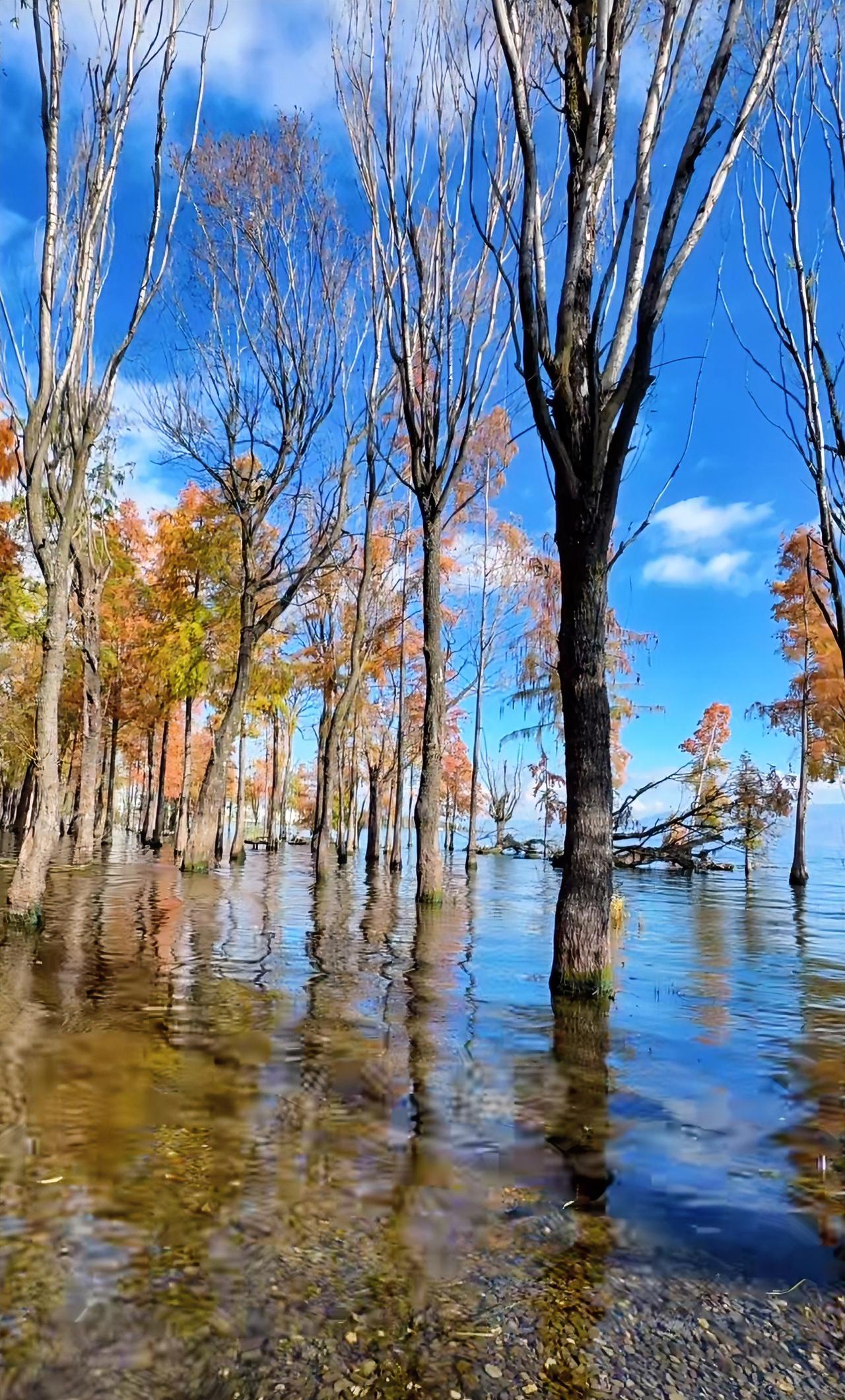 “上天给你什么，你就享受什么；上天拿走你什么，你就放弃什么。命运没空搭理你，你就