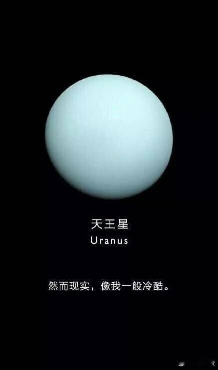 9大行星的证件照，地球那个自我介绍放眼整个银河系，你就说服不服？[捂脸哭]​​