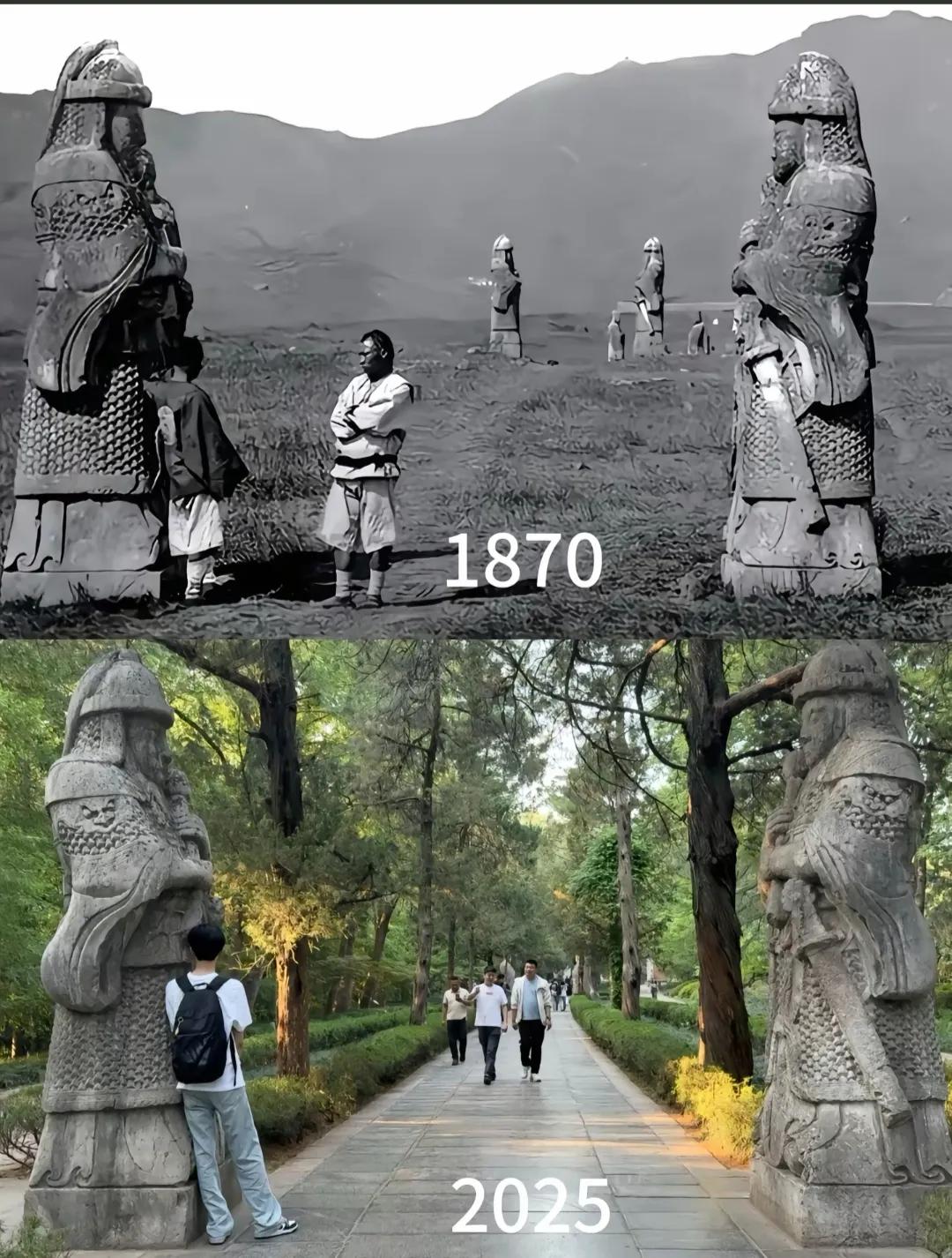又是一年麦收季，想想从大一统的秦朝到今年，麦子也不过熟了2245次，今年在