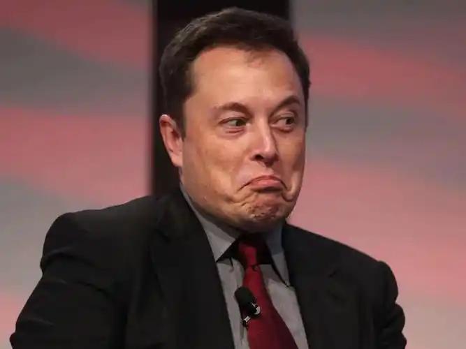 话说那个网红老板出席的意义是什么？营销第一？又没有核心技术，又不是上下游供应商，