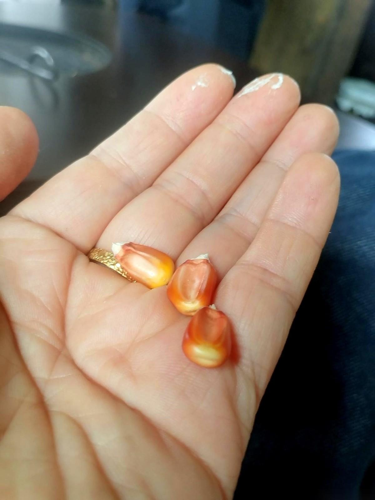 我们酒师，人刚走到门口，脚都还没站稳，看了一眼麻袋里的玉米，一句话没说，掉头就走