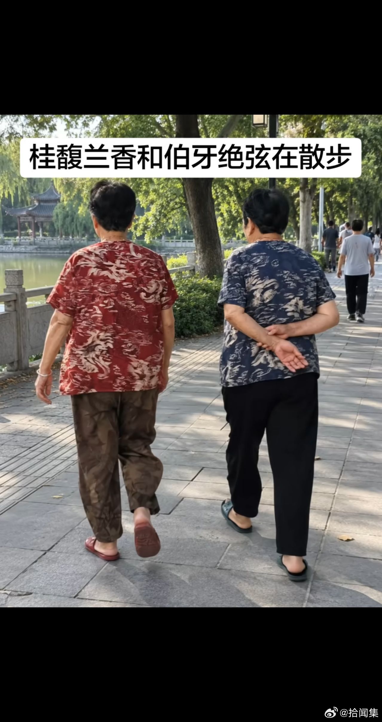 桂馥兰香和伯牙绝弦在散步搞笑​​​