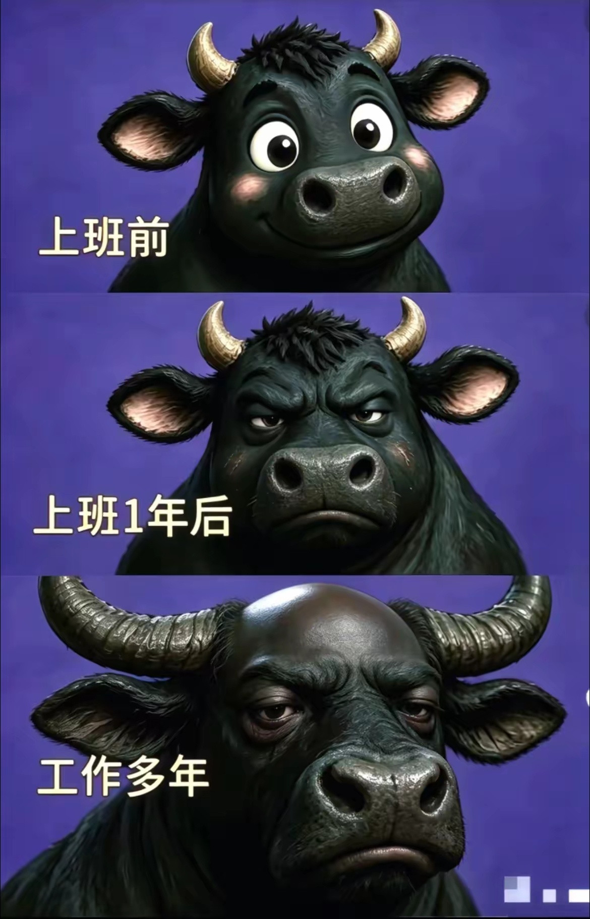 上班就是从牛犊子到完犊子的过程