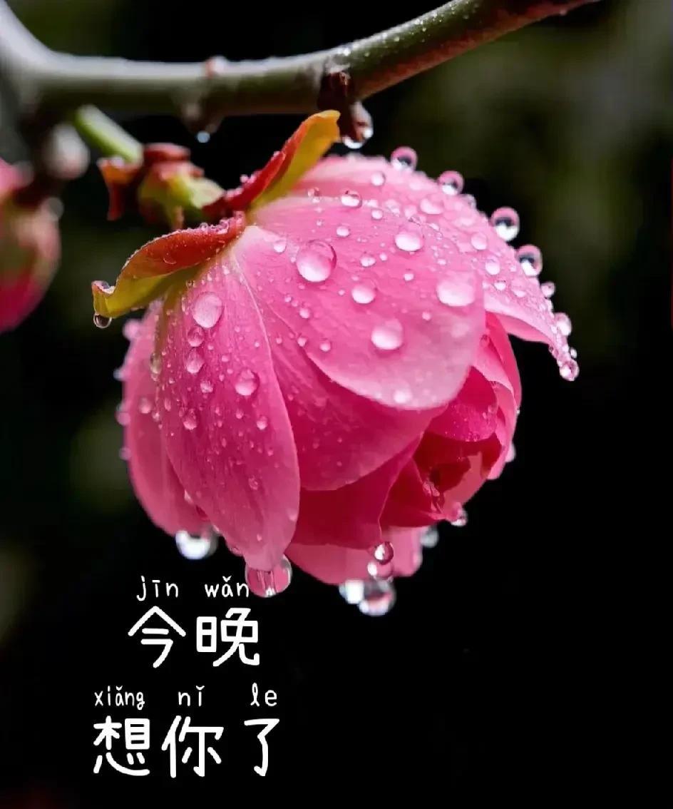 亲爱的你知道吗想你的时候我真的很开心因为你在我心里永远都那么好你对我