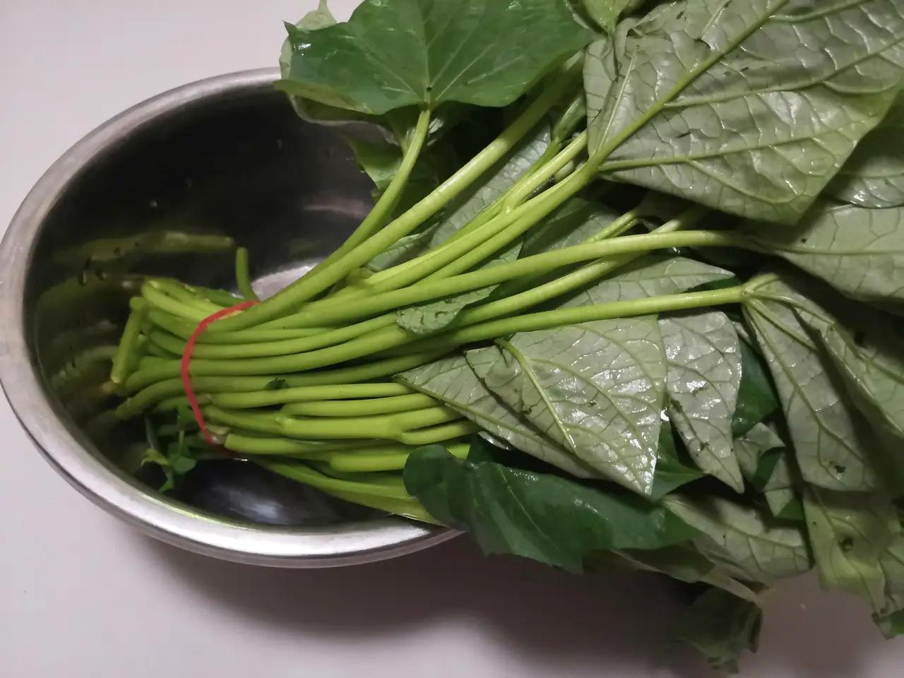 我说出一件事情，肯定很多人不相信:小时候，这种菜在我们农村老家根本不叫菜，是专门