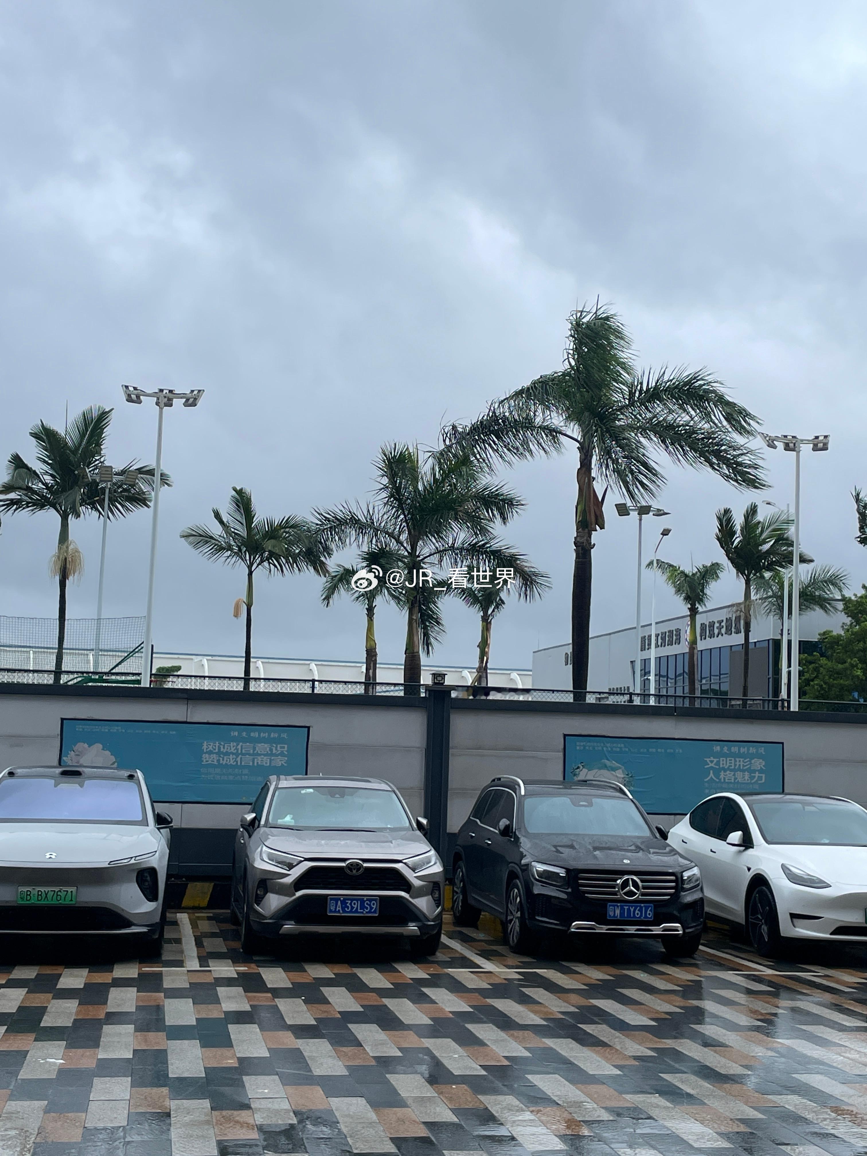 果然还是没躲过台风啊…知道这台风威力很大，没想到大到连高铁都给我取消了[哭哭]