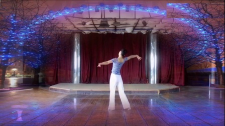 沅水伊人广场舞《伤不起》(流畅)_土豆视频