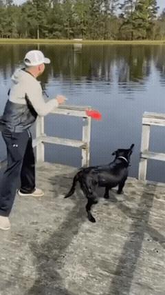 不是，你们还真跳啊？还把我也踹下去了！