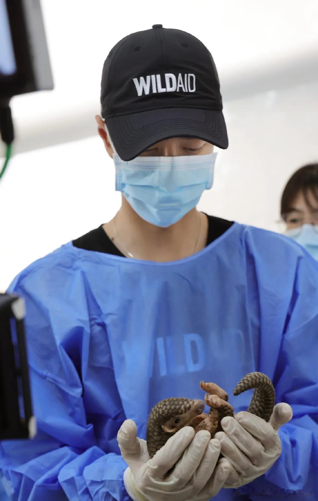 野生救援WildAid发的庆祝野生救援公益大使王一博生日的博文，放上了王一博亲手