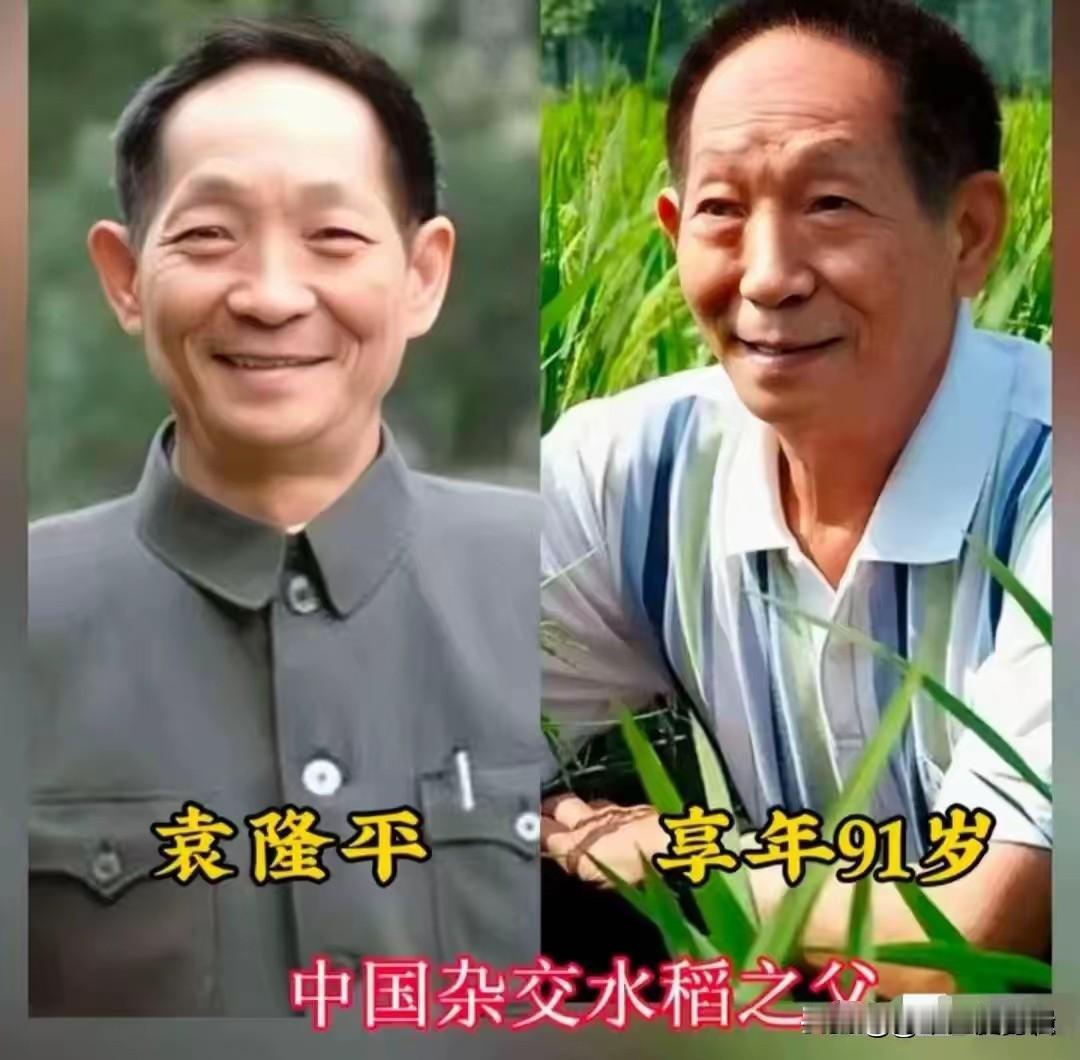 他们是真正的民族功臣。袁隆平（杂交水稻之父）、钱学森（中国导弹之父）、钱三强（